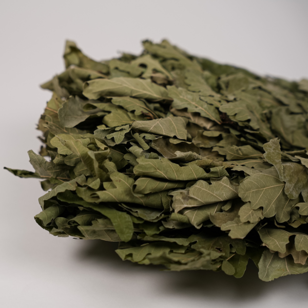 Дубовый веник для бани Левада