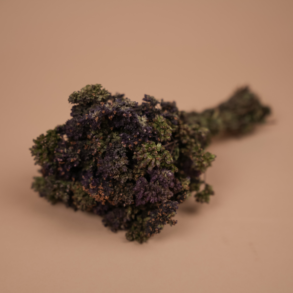 Травы для бани Woodson, душица